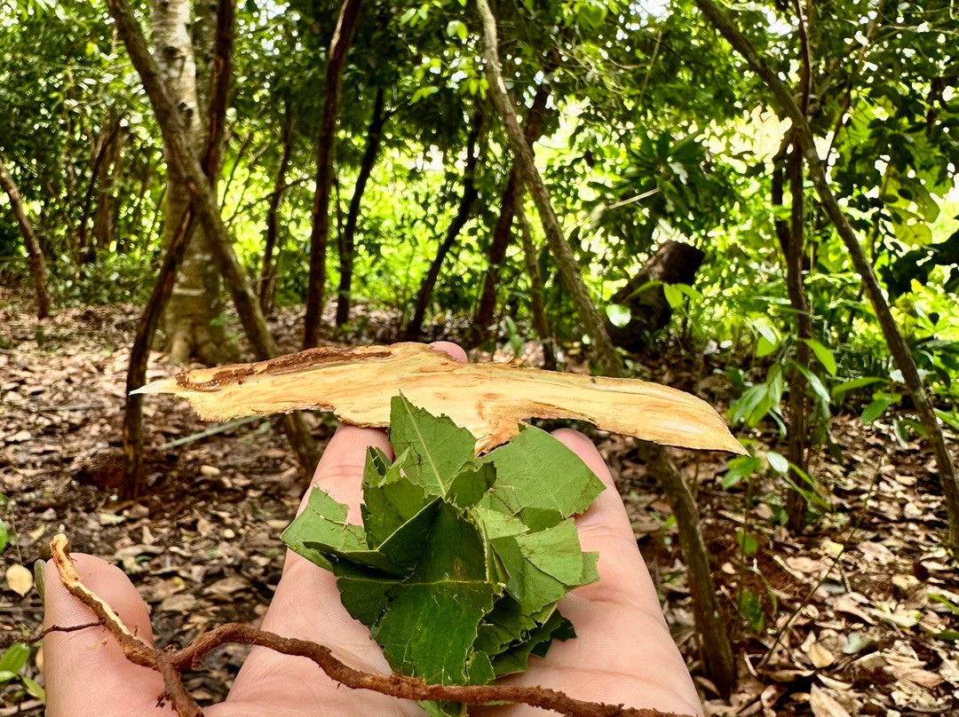Jambo Spice Farm-桑给巴尔市必去景点