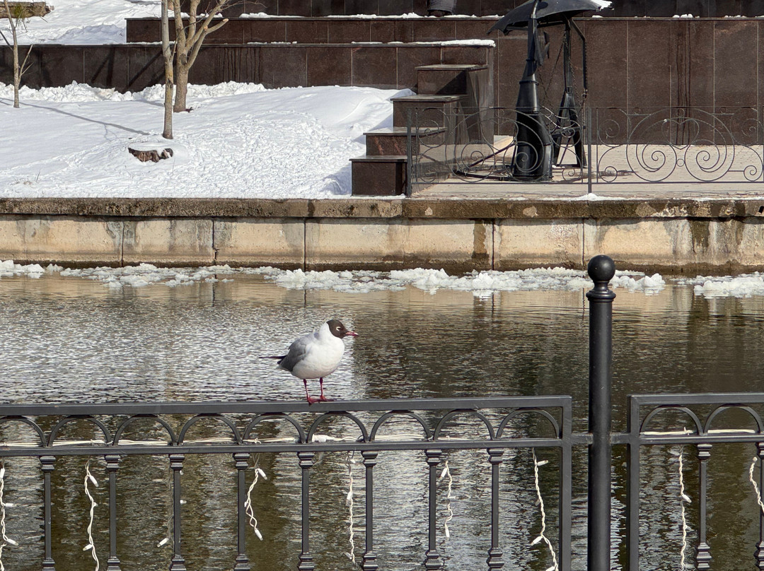 Lopatinsky Garden-Smolensk必去景点