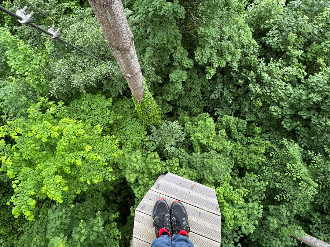 Adventure Park Rheinfall-诺伊豪森必去景点