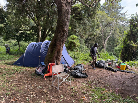 Kili Trips & Safari Outfitters-莫西必去景点