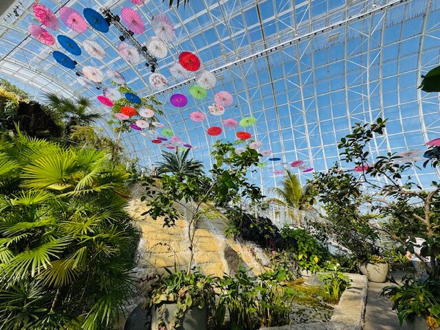 Myriad Botanical Gardens-俄克拉何马城必去景点