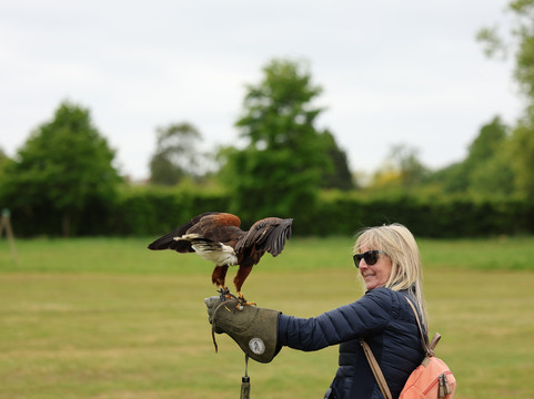 The Hawking Centre-Doddington必去景点