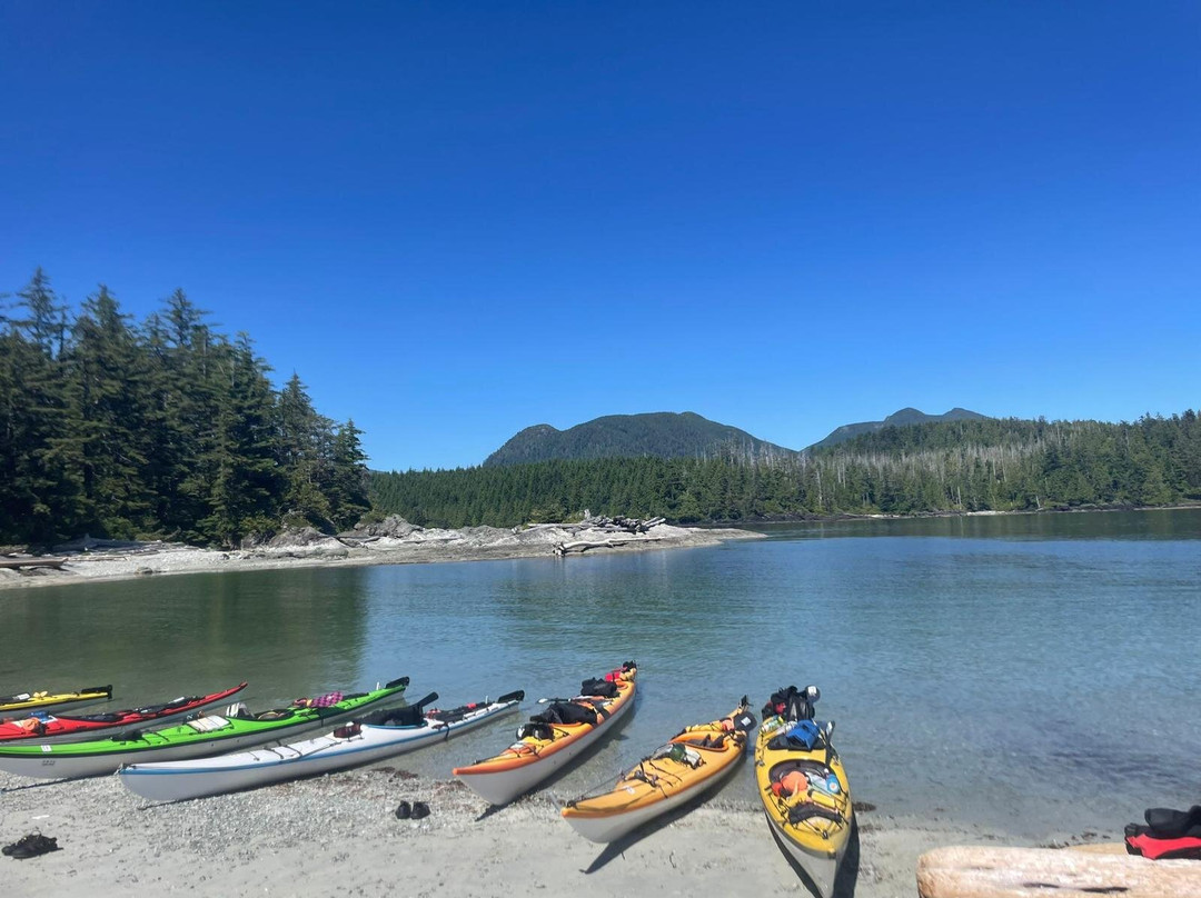 West Coast Expeditions-温哥华岛必去景点