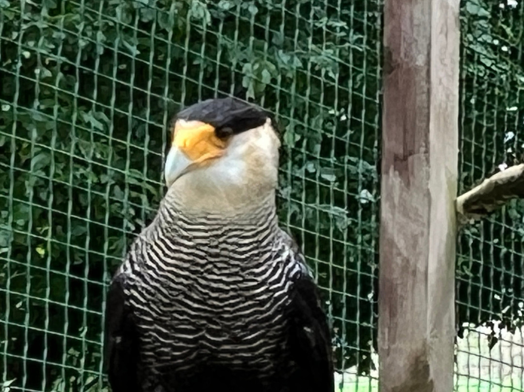 Tierpark Irgenöd-Ortenburg必去景点