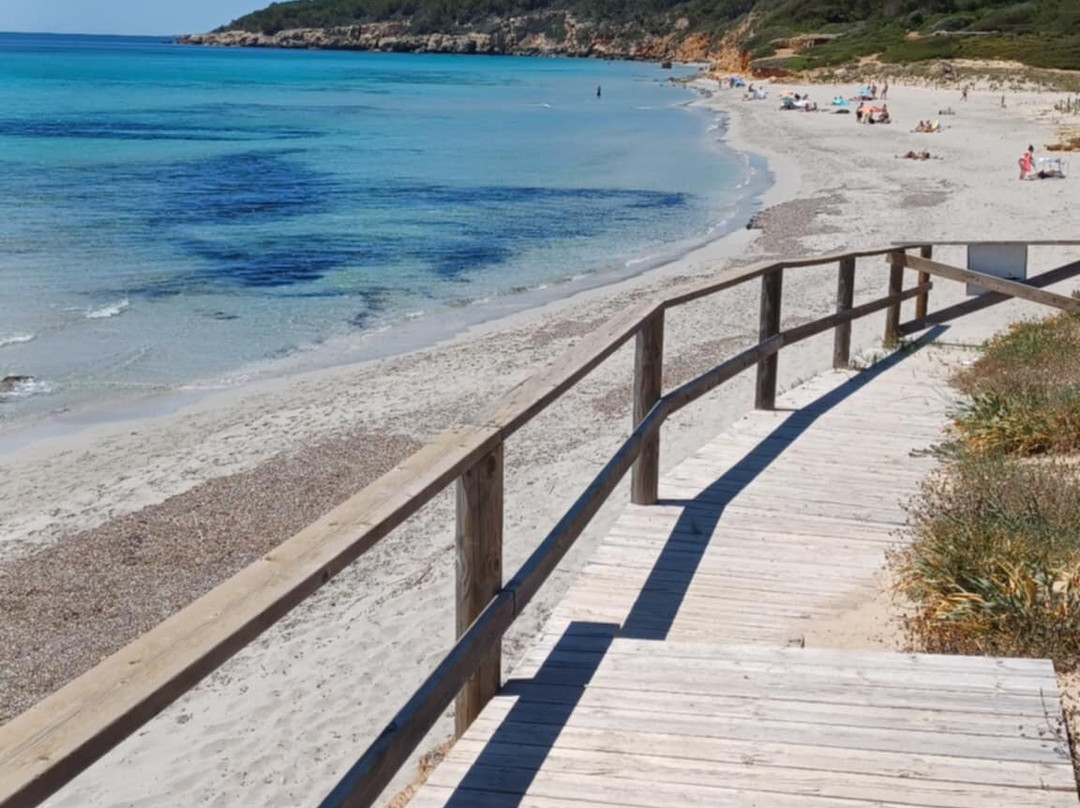 Playa De Binigaus-Migjorn Gran必去景点
