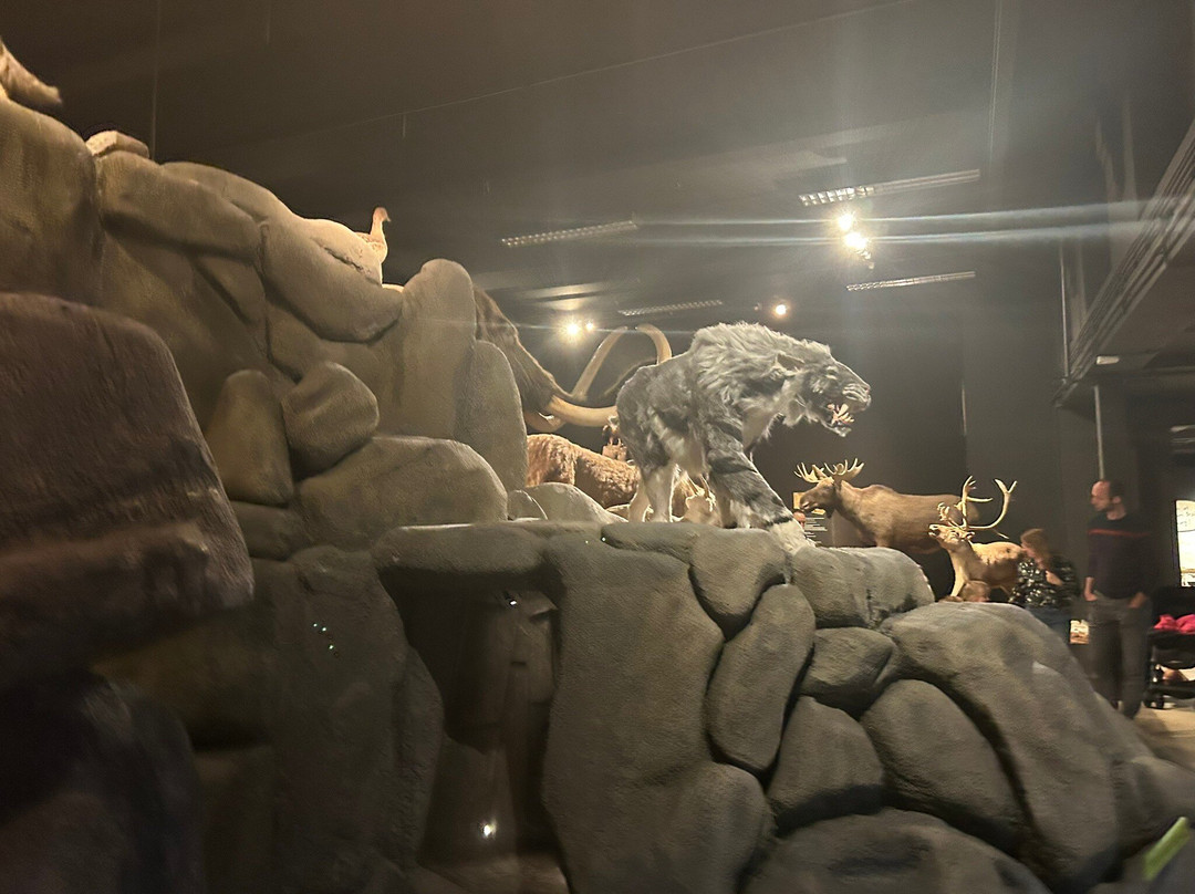 Natuurmuseum Brabant景点图片