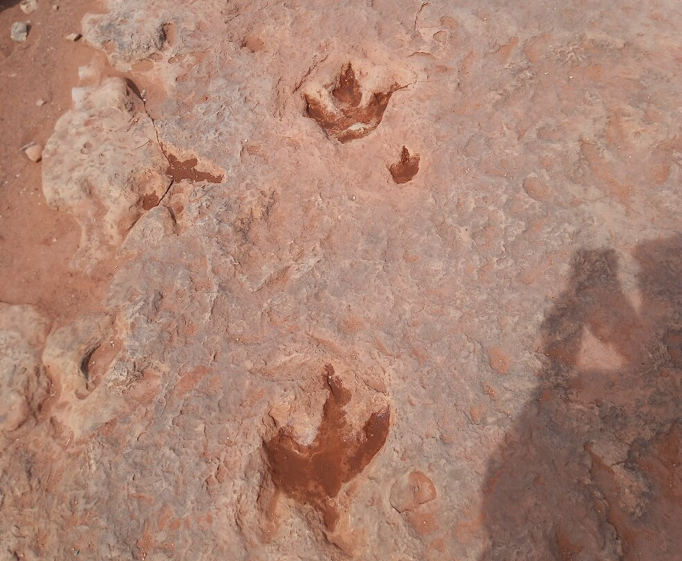 Dinosaur Tracks-蒂巴城必去景点