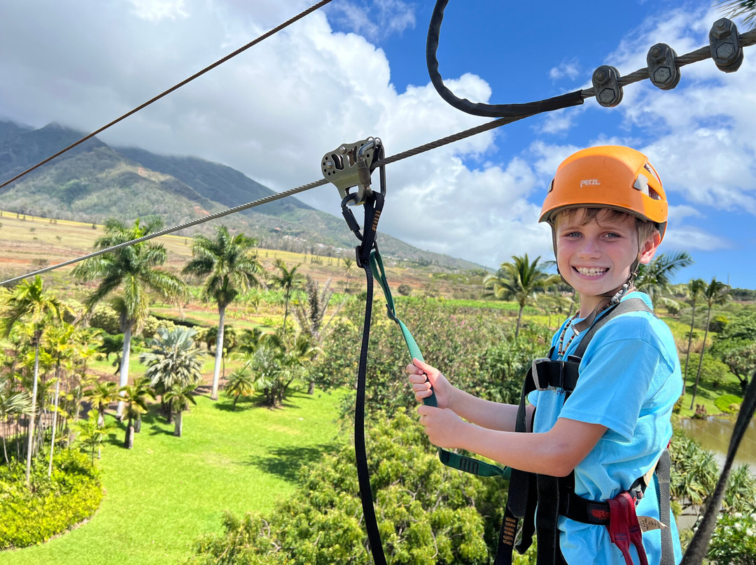 Maui Zipline Company-怀露库必去景点