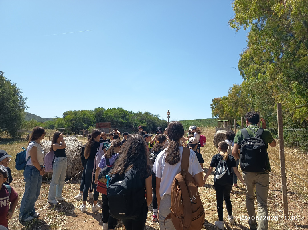 Bee Garden Alghero-阿尔盖罗必去景点