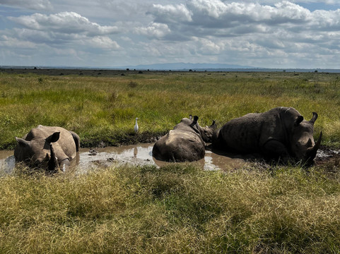KILIAN TOURS AND TRAVEL-内罗毕必去景点