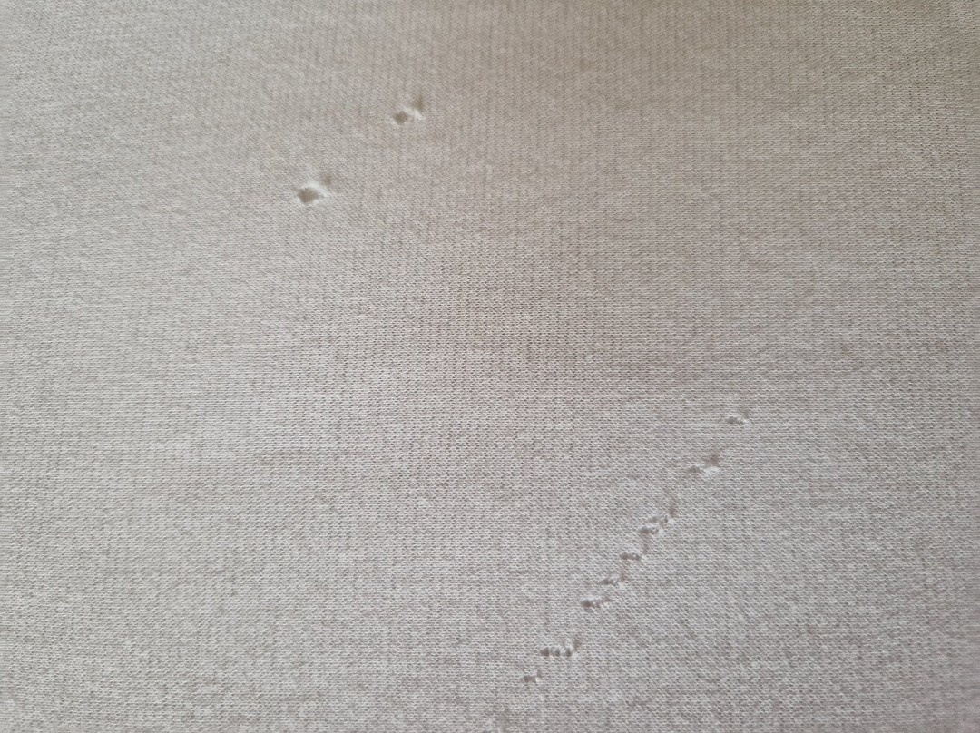 布肯维特天纳霍夫主图