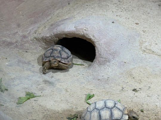 Agadir My Way Tours-阿加迪尔必去景点