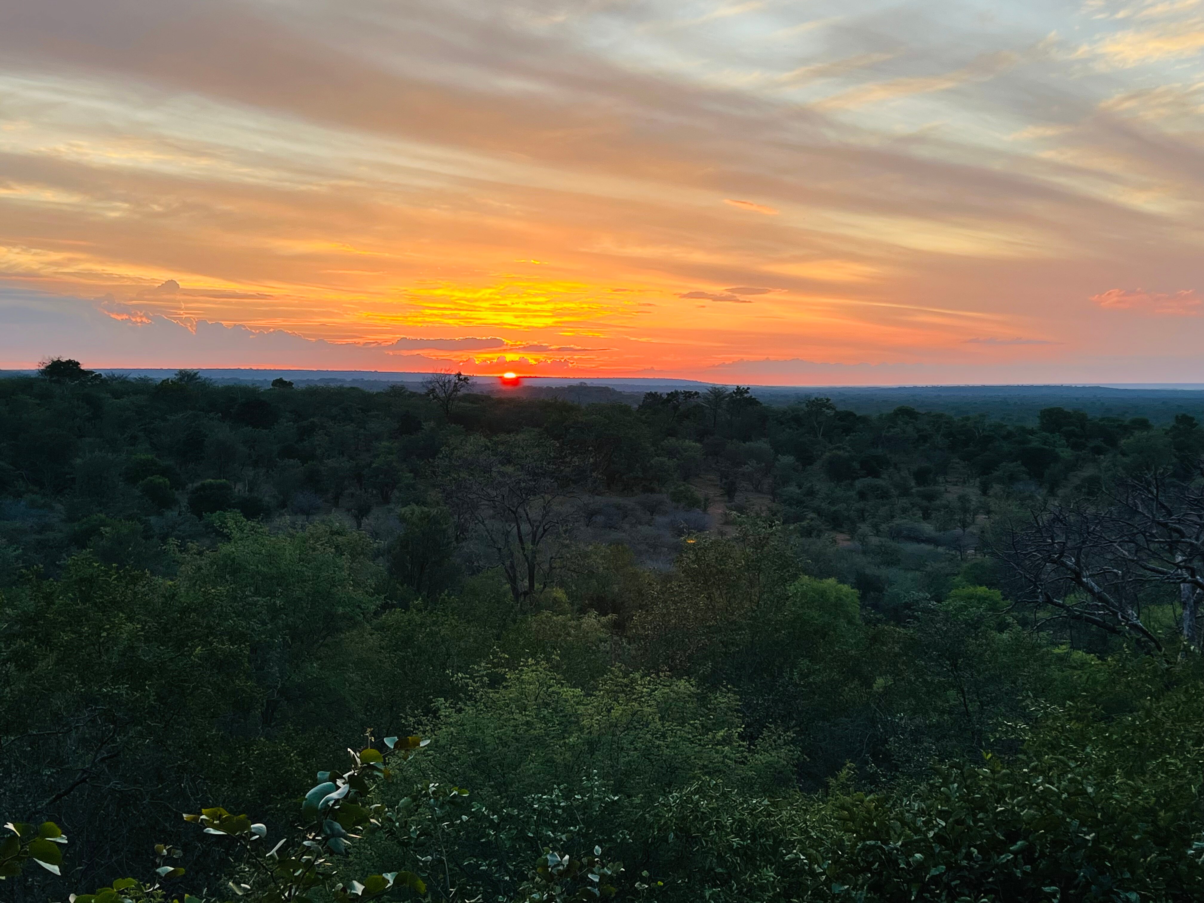 Victoria Falls Safari Club-酒店景观