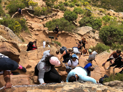 Hike Lion's Head (Cape Town)-开普敦中心区必去景点
