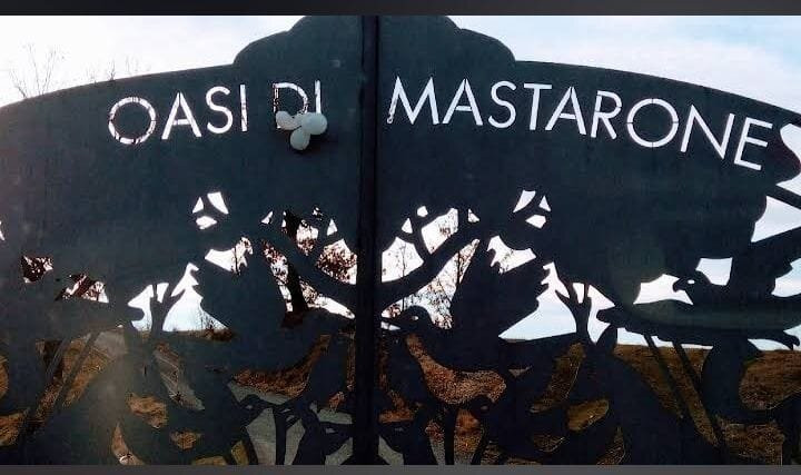 Oasi di Mastarone - Il vino e le Rose主图