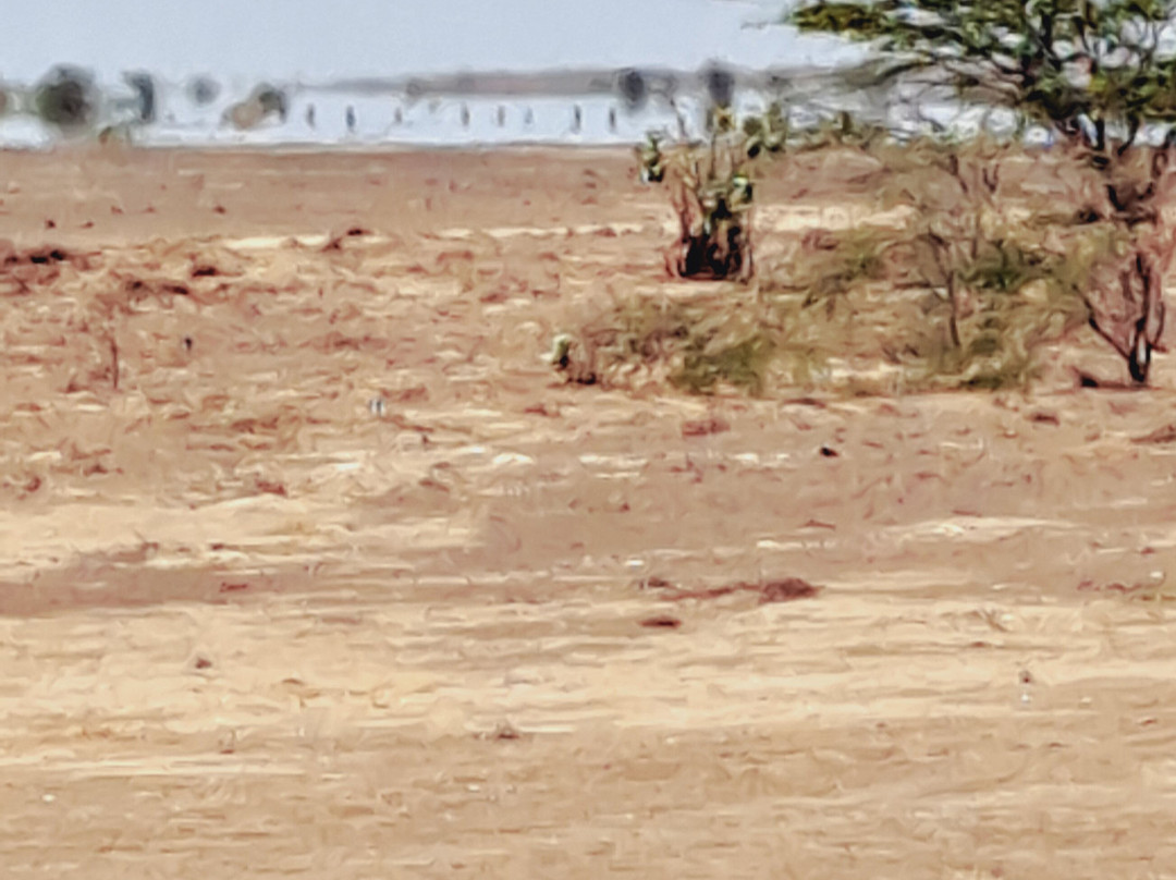 Luna Tours-Murdeira必去景点