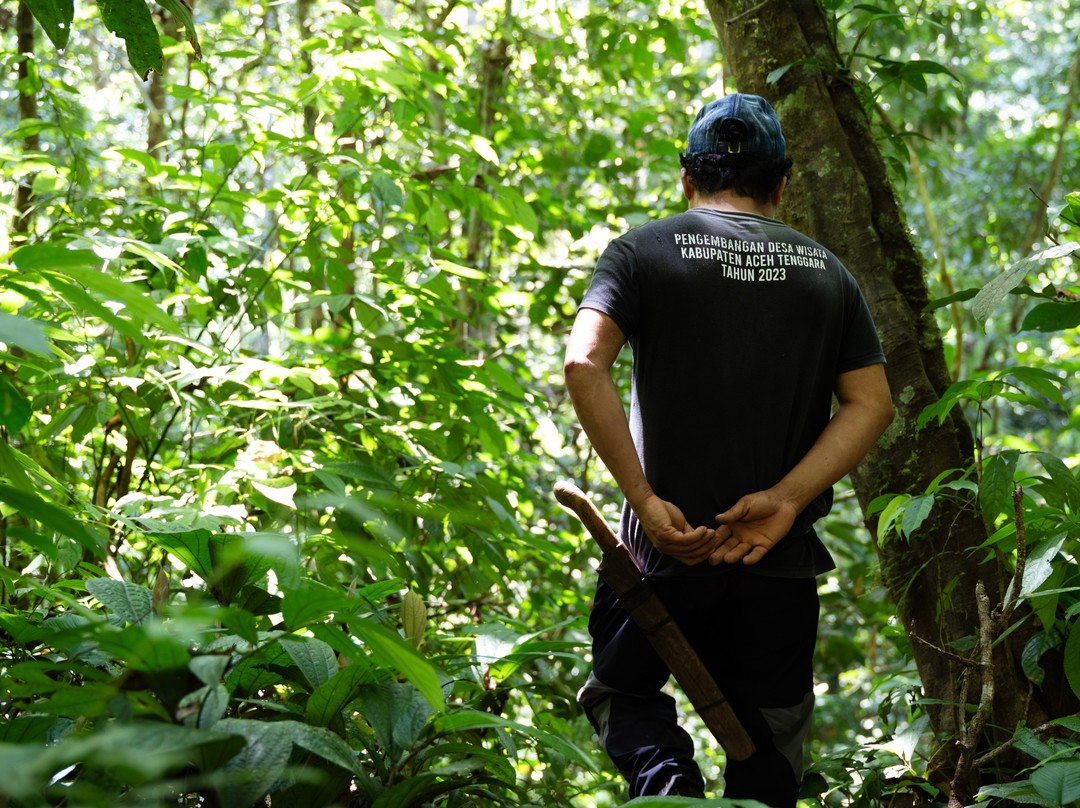 Sumatra Ketambe Jungle Tours