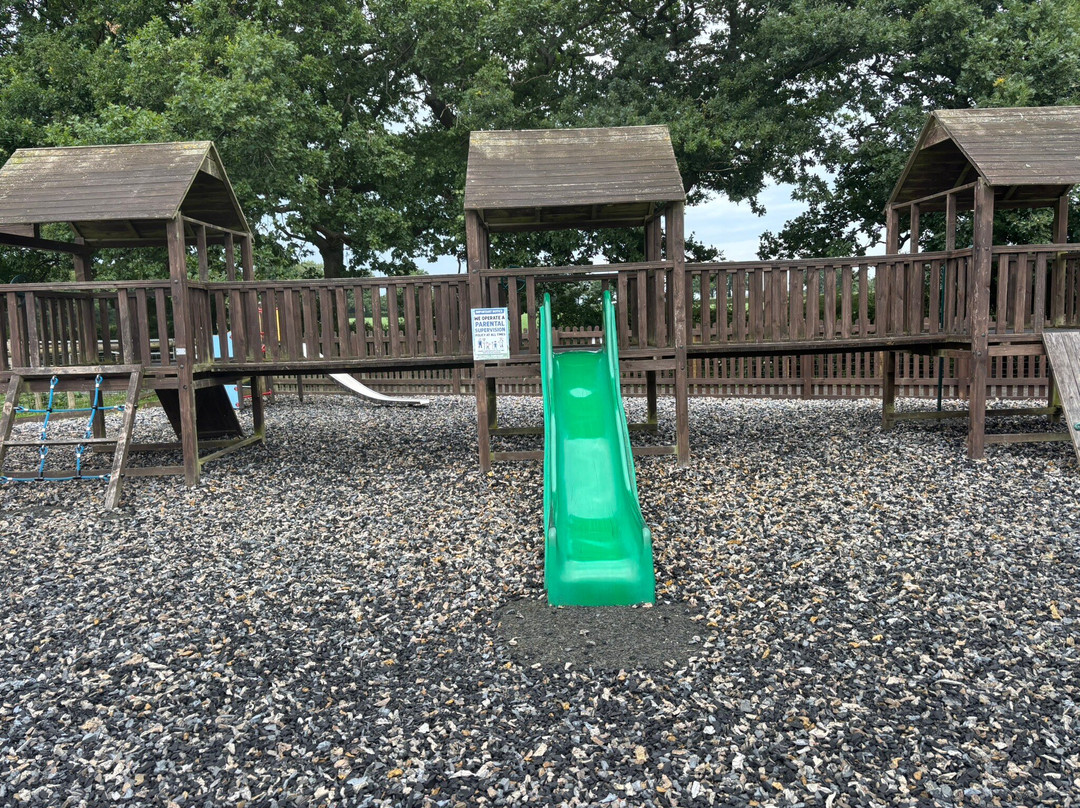 Attwell Farm Park-雷迪奇必去景点