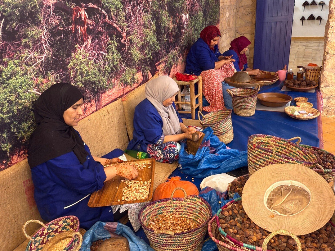 Walking With Nomads-Agdz必去景点