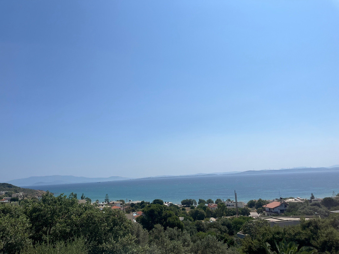 Melia Sol Art Studios主图