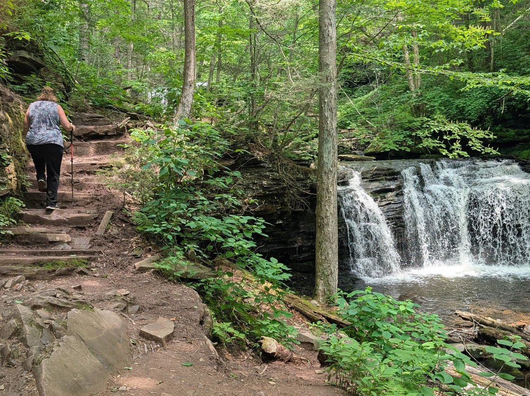 Ricketts Glen State Park景点图片