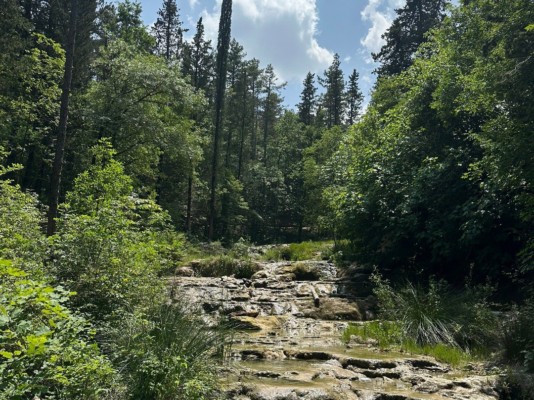 Terme di San Filippo-Castiglione D'Orcia必去景点