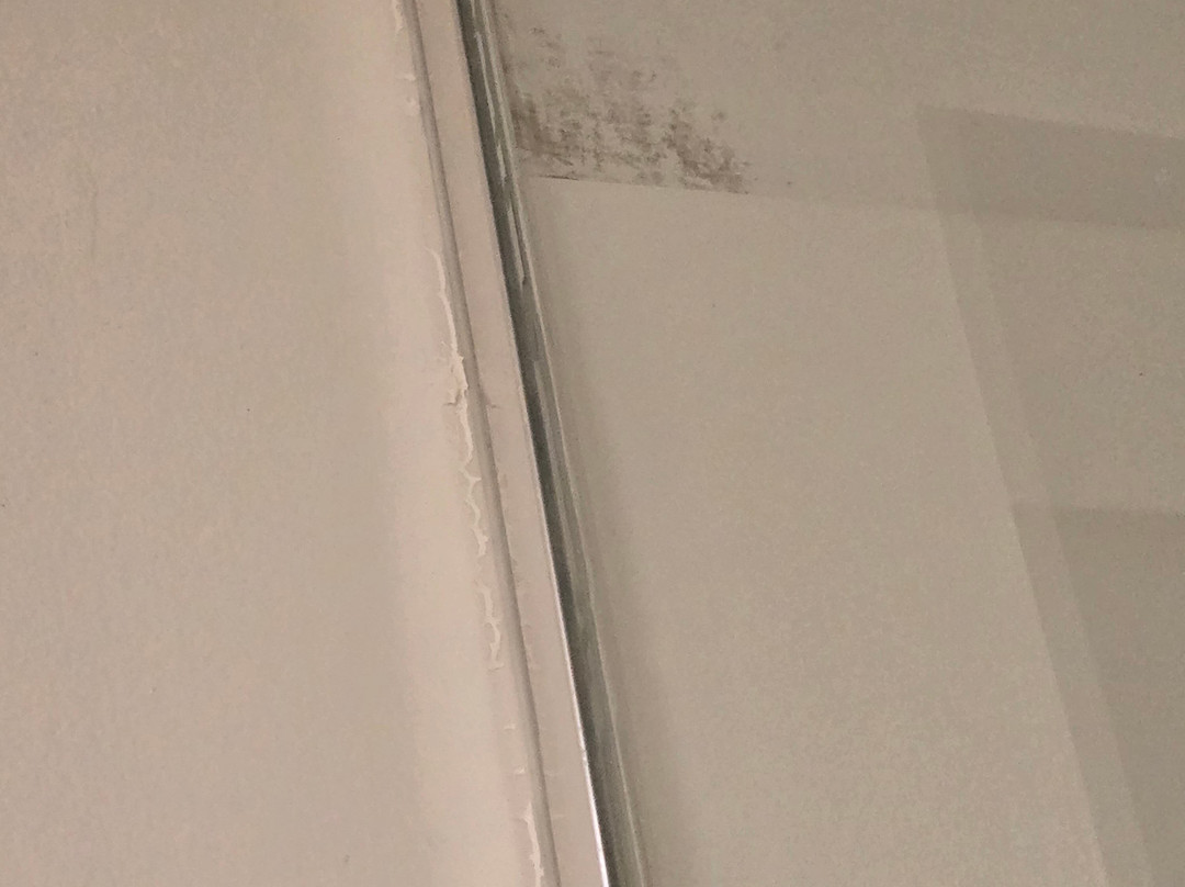 Springhill Suites By Marriott Columbia Fort Meade Area主图