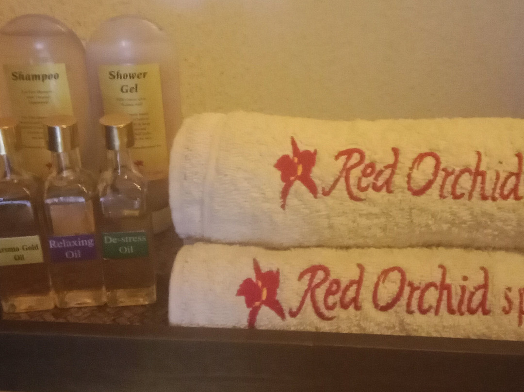 Red Orchid Spa Mahipalpur-Mahipalpur必去景点