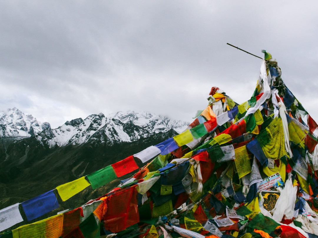 Blue Mountain Travels - Private Mountain Flight Day Tours-加德满都必去景点