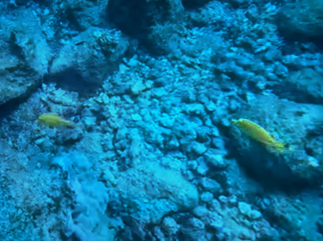 理查德森海滩公园-希洛必去景点