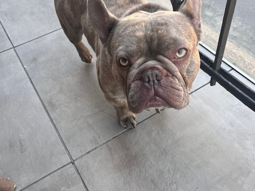 Osteria Del Vino Cochem主图