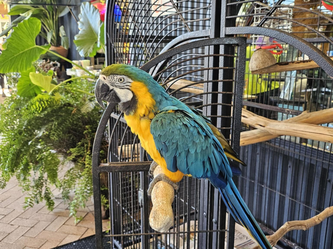 Airlie Adventure Tours-艾尔利滩必去景点