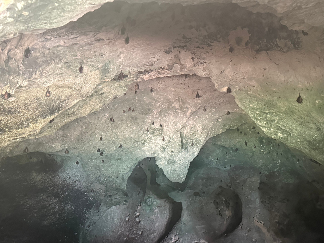 Adventures Caribbean-拿骚必去景点