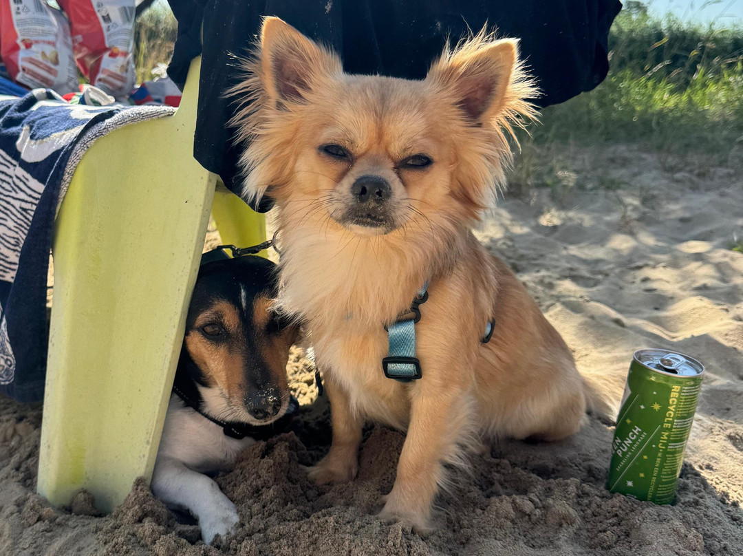 Sup & Beach-IJsselstein必去景点