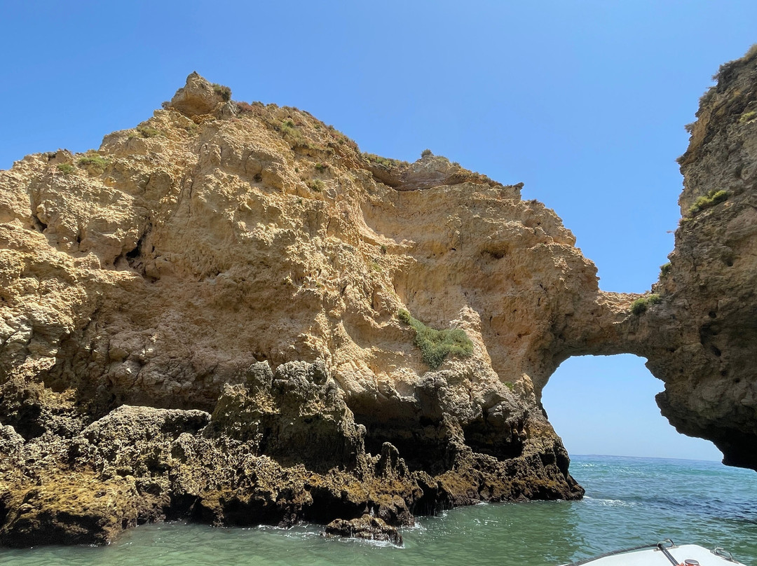 Algarve Seafaris-维拉摩拉必去景点