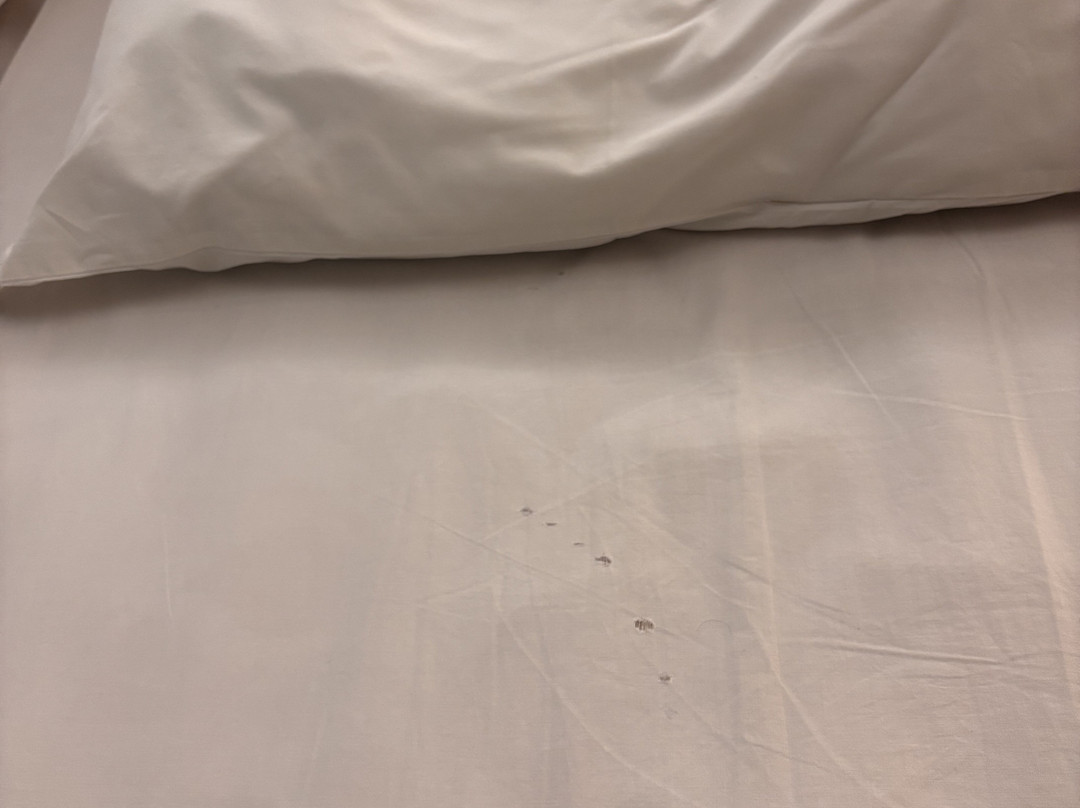 Transamerica Executive Fernandópolis主图