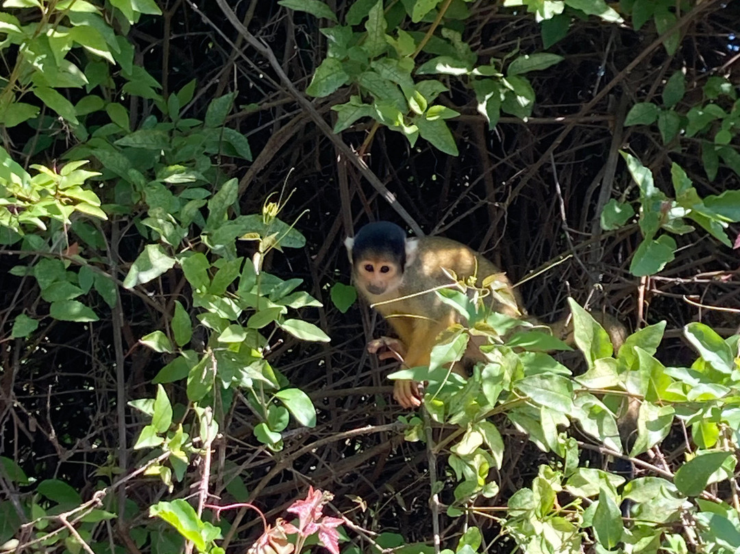 Nick's Adventures Bolivia-圣克鲁斯省必去景点