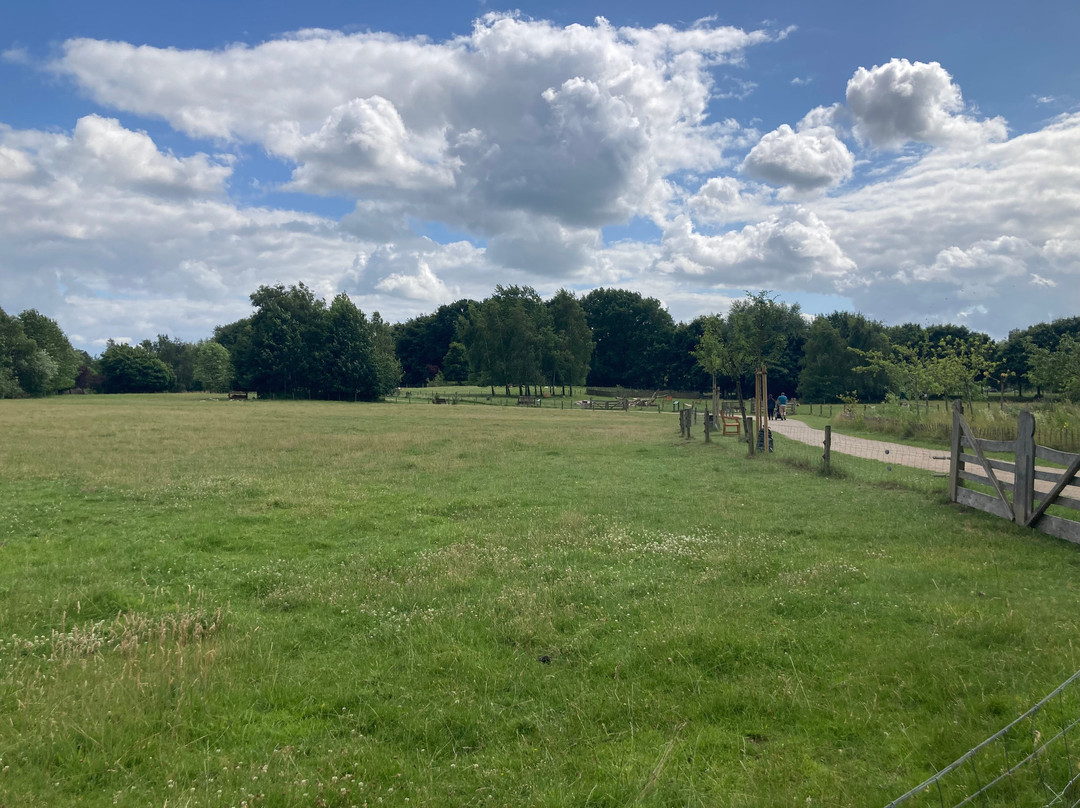 Arche Warder - Zentrum für seltene Nutztierrassen-Warder必去景点