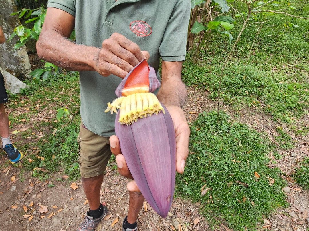 Vanibel-Vieux-Habitants必去景点