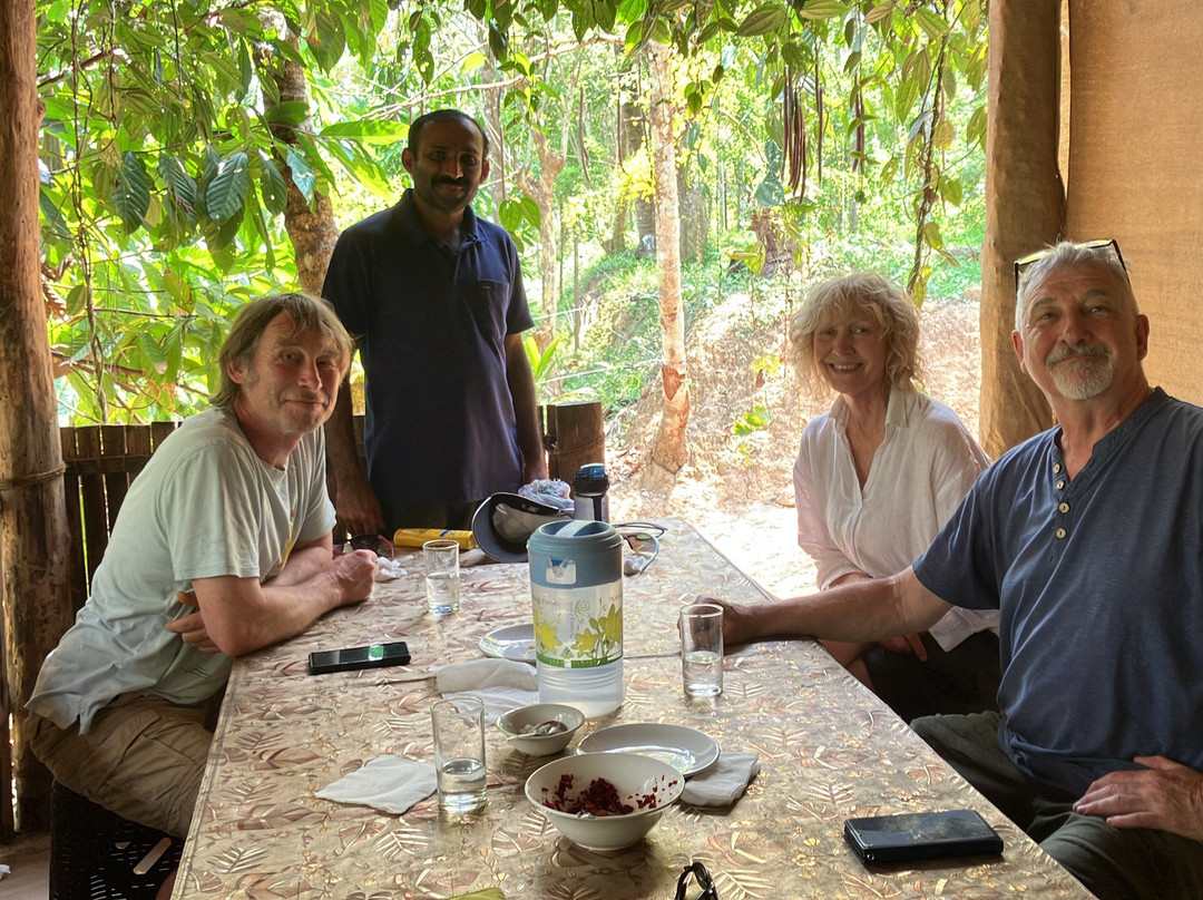 Greenways Treehut & Villas主图