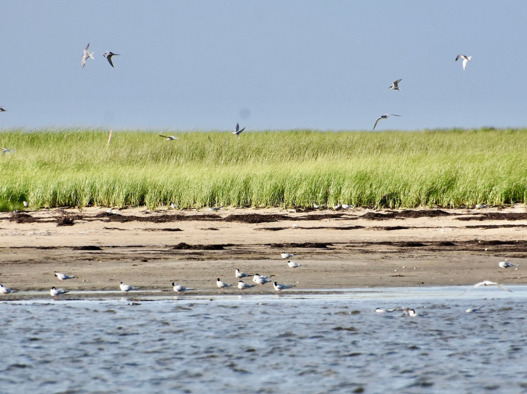 Phoca Tours-Saint-Louis-de-Kent必去景点