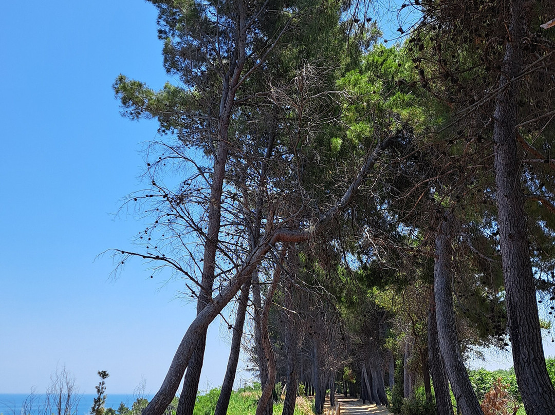 Punta dell’Acquabella-Ortona必去景点