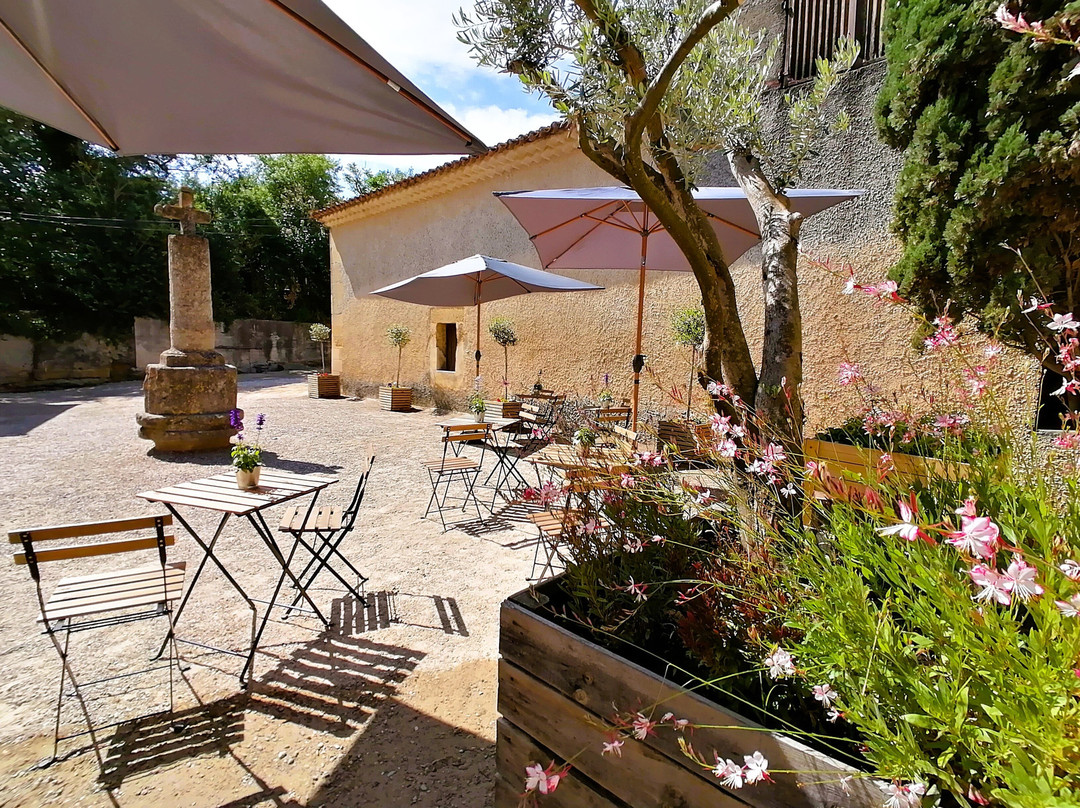 Domaine de Soustres-Montady必去景点