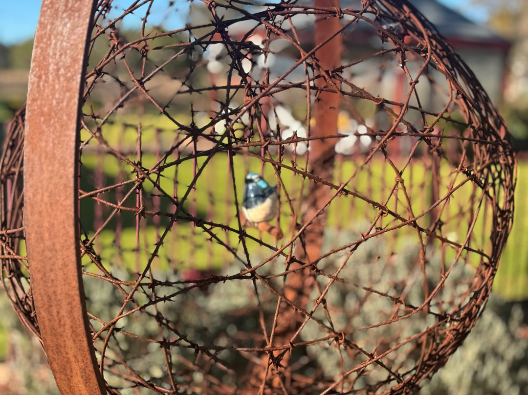 Kies Family Wines-林道必去景点