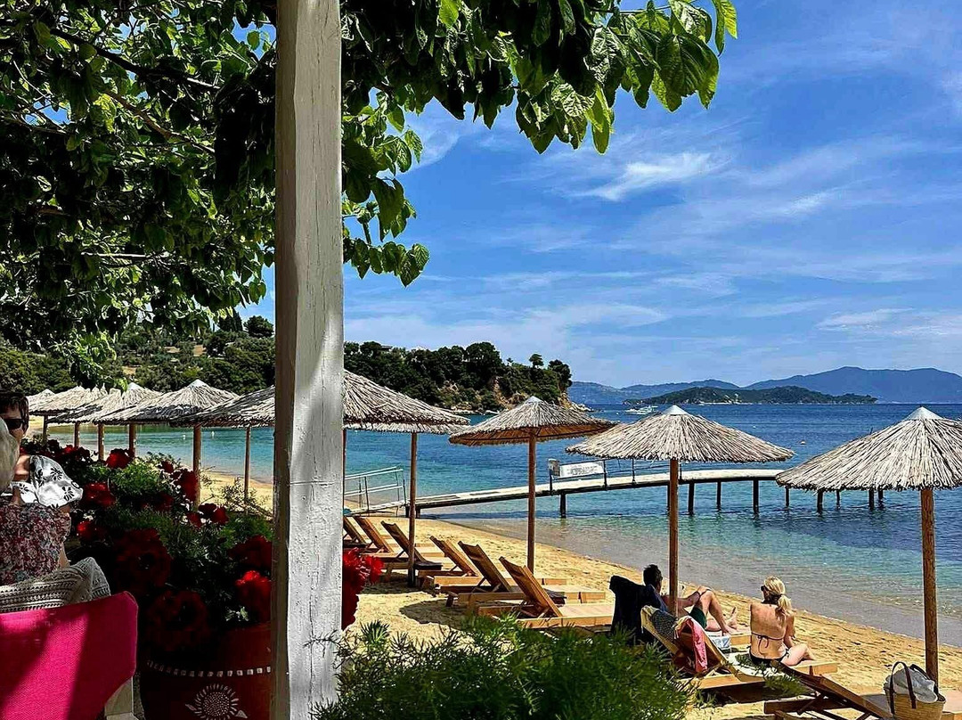 Mojo Bar by the Sea-Skiathos Town必去景点