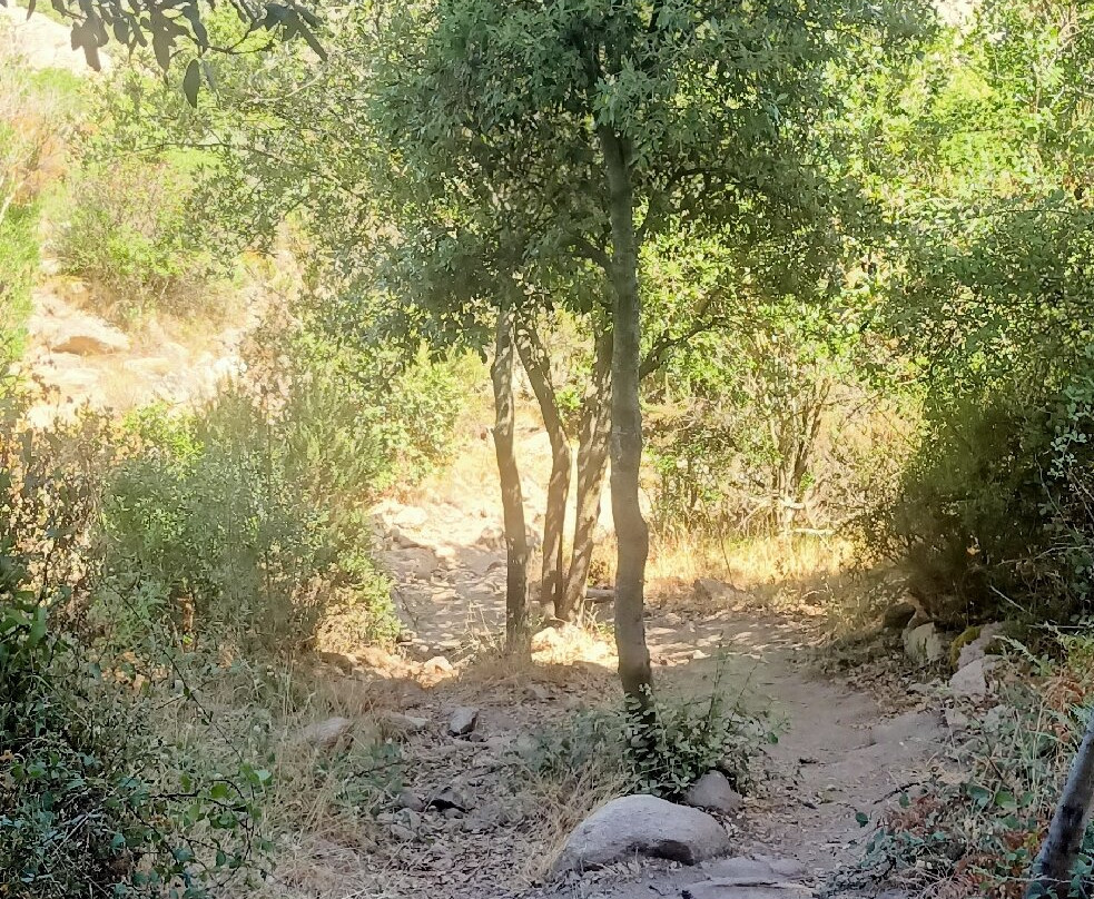 Sardinia Exploring-San Teodoro必去景点