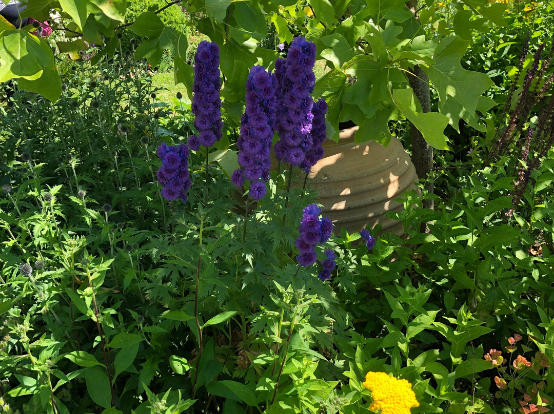 Den Engelska Tradgarden (The English Garden)-Kivik必去景点