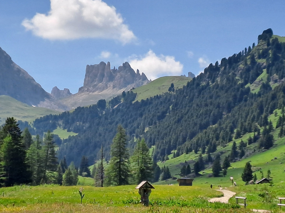 Alpen Hotel Panorama主图