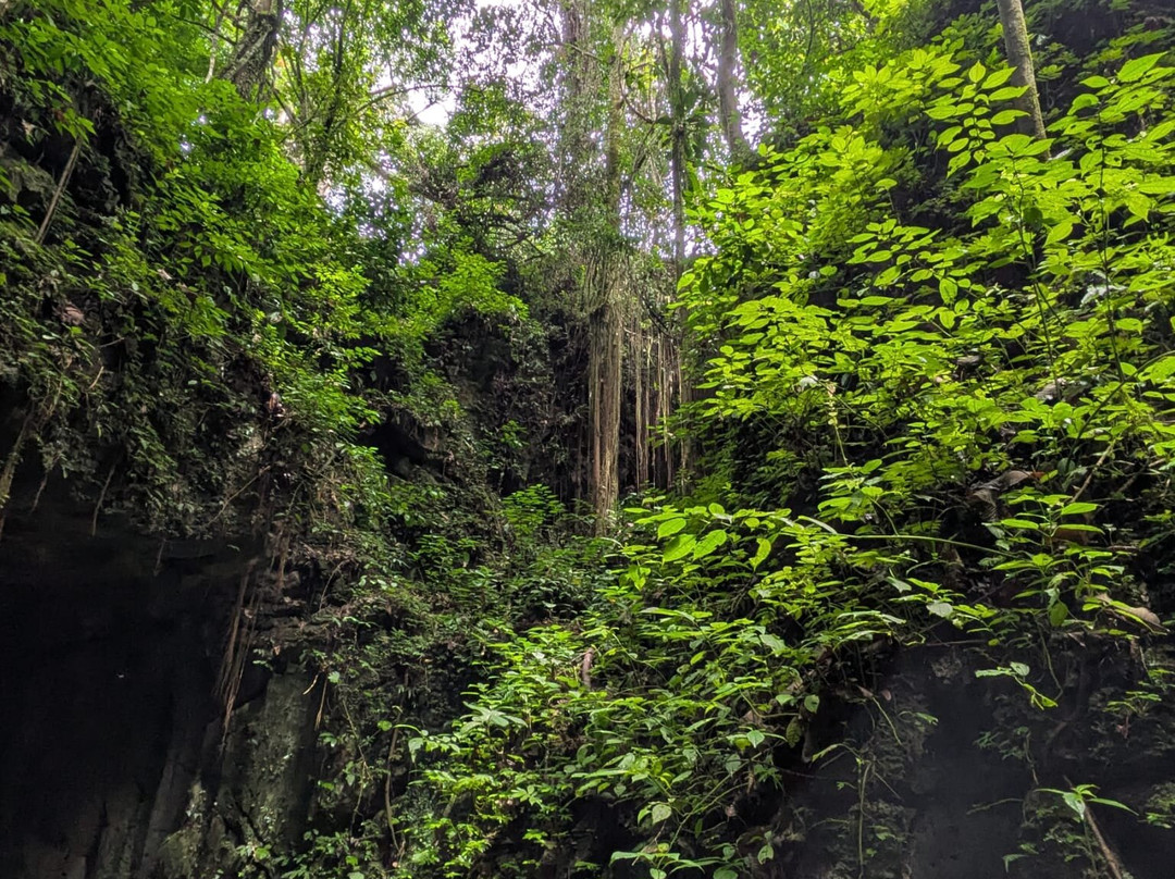 Bat Cave-武吉拉旺必去景点