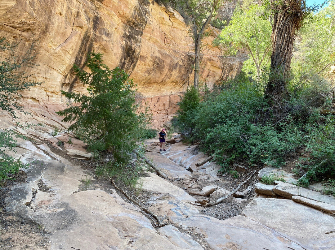 Bangs Canyon Trailhead-大章克申必去景点